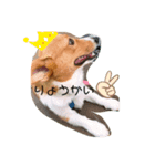 ★りんご★（個別スタンプ：6）