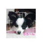 【可愛すぎる】成長記スタンプ（個別スタンプ：6）
