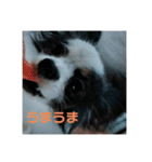 【可愛すぎる】成長記スタンプ（個別スタンプ：9）