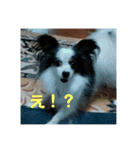 【可愛すぎる】成長記スタンプ（個別スタンプ：14）