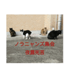 大久保ノラニャンズパート3（個別スタンプ：7）