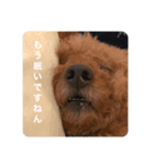 Nまろん。1（個別スタンプ：1）