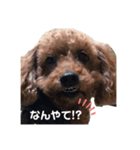 Nまろん。1（個別スタンプ：5）