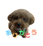 Nまろん。1（個別スタンプ：8）