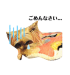 ヨークシャテリアの毎日（個別スタンプ：11）