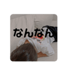 あつまれ！うたくん！（個別スタンプ：10）