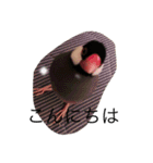 文鳥の日常 りんちゃん（個別スタンプ：7）