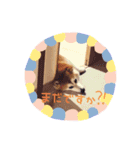 柴犬すずすずちゃん（個別スタンプ：2）