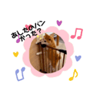 柴犬すずすずちゃん（個別スタンプ：6）