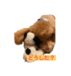 MORIショコラ（個別スタンプ：1）