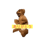 MORIショコラ（個別スタンプ：2）