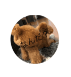 いろんなスタプ（個別スタンプ：2）