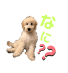 ジョン・テッド・ベン（個別スタンプ：27）