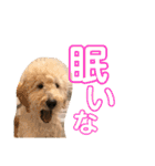 ジョン・テッド・ベン（個別スタンプ：29）