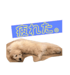 ジョン・テッド・ベン（個別スタンプ：30）