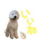 ジョン・テッド・ベン（個別スタンプ：32）