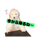 ジョン・テッド・ベン（個別スタンプ：35）