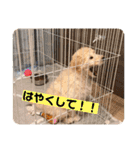 ジョン・テッド・ベン（個別スタンプ：37）