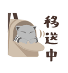 猫太郎スタンプ01（個別スタンプ：5）