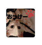 井戸中ちくわスタンプ2（個別スタンプ：1）