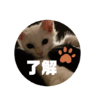 井戸中ちくわスタンプ2（個別スタンプ：2）