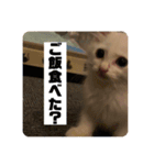 井戸中ちくわスタンプ2（個別スタンプ：3）
