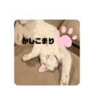 井戸中ちくわスタンプ2（個別スタンプ：5）