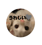 井戸中ちくわスタンプ2（個別スタンプ：8）