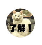 井戸中ちくわスタンプ2（個別スタンプ：10）