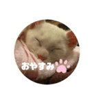 井戸中ちくわスタンプ2（個別スタンプ：11）