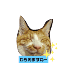 ひなたくんスタンプ2（個別スタンプ：11）
