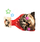 ねこ ネコ 猫（個別スタンプ：2）