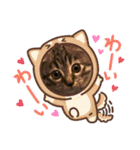 ねこ ネコ 猫（個別スタンプ：6）