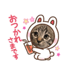 ねこ ネコ 猫（個別スタンプ：10）