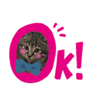 ねこ ネコ 猫（個別スタンプ：16）