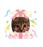 ねこ ネコ 猫（個別スタンプ：21）
