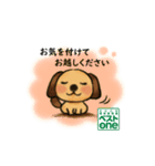ECCの個別指導塾ベストワン ベストわんこ（個別スタンプ：5）