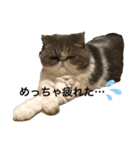 ミキリリー（個別スタンプ：1）