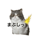 ミキリリー（個別スタンプ：2）