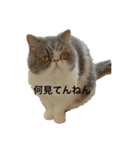 ミキリリー（個別スタンプ：4）