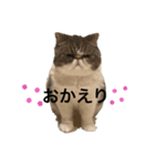 ミキリリー（個別スタンプ：5）