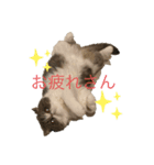 ミキリリー（個別スタンプ：8）
