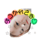 あえちゃん❤︎（個別スタンプ：5）