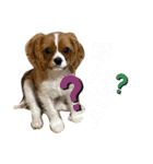 あほ犬マックス（個別スタンプ：7）
