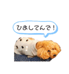 CLIFFの日常（個別スタンプ：32）
