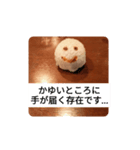 おしぼりやねん（個別スタンプ：21）