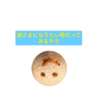 おしぼりやねん（個別スタンプ：29）