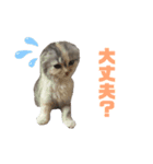 幼少期のちくわちゃん（個別スタンプ：4）