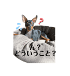 ROI②（個別スタンプ：5）