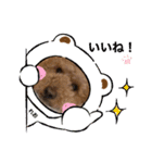 うちのにゃんぽち①（個別スタンプ：2）